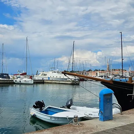 Laguna 36